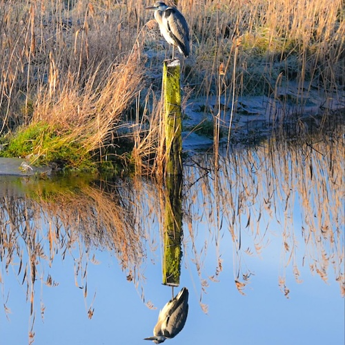 Tipton Poetry Journal